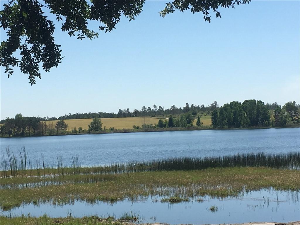 Lake Emma Rd., Groveland, FL 34736
