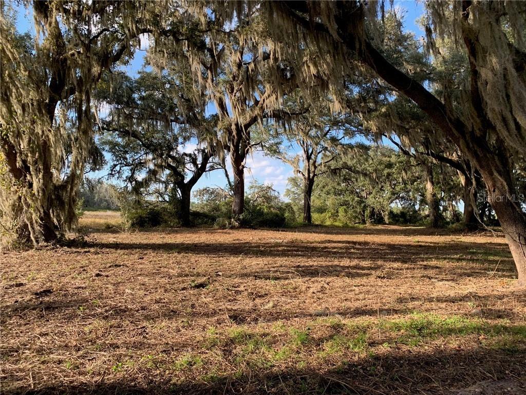 452 Long And Winding Rd., Groveland, FL 34737