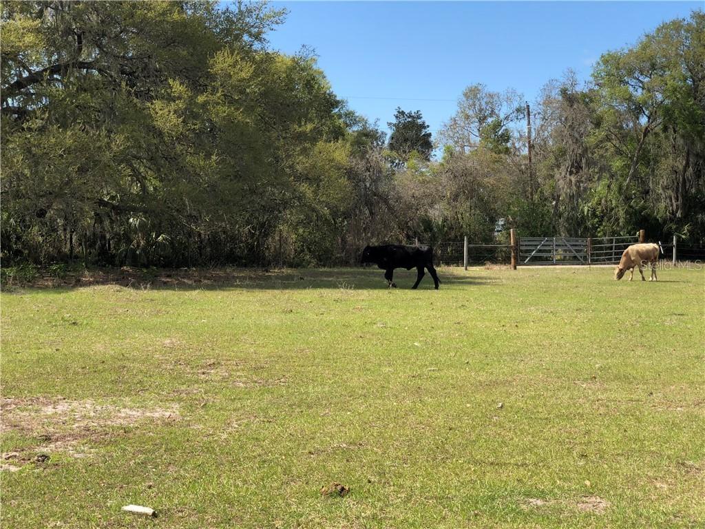 Pitt Road Lot 2, Plant City, FL 33567