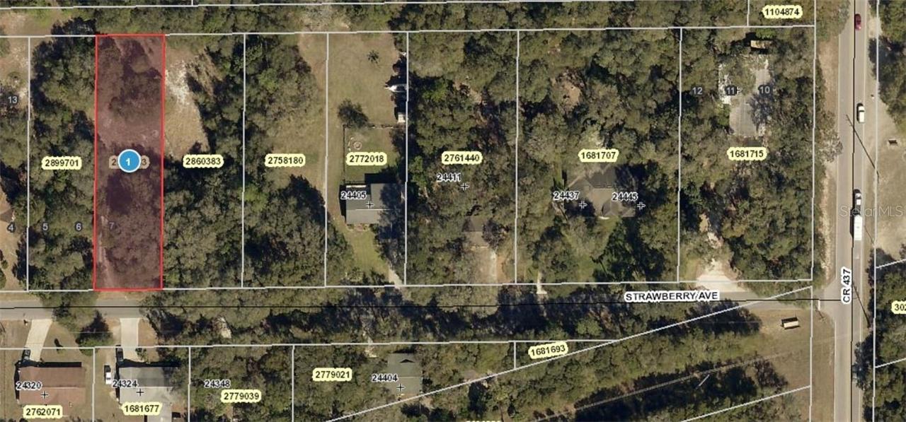 Strawberry Ave., Sorrento, FL 32776