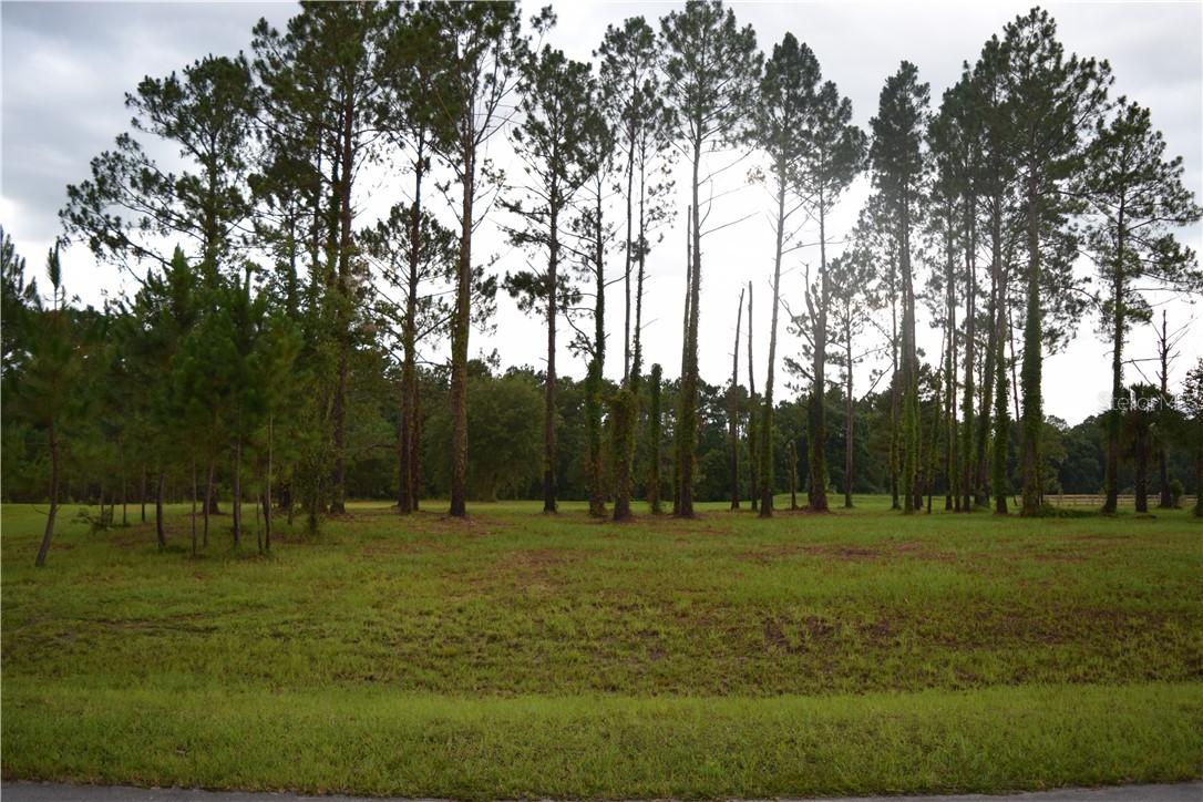 22250 Deer Park Ave., Eustis, FL 32736