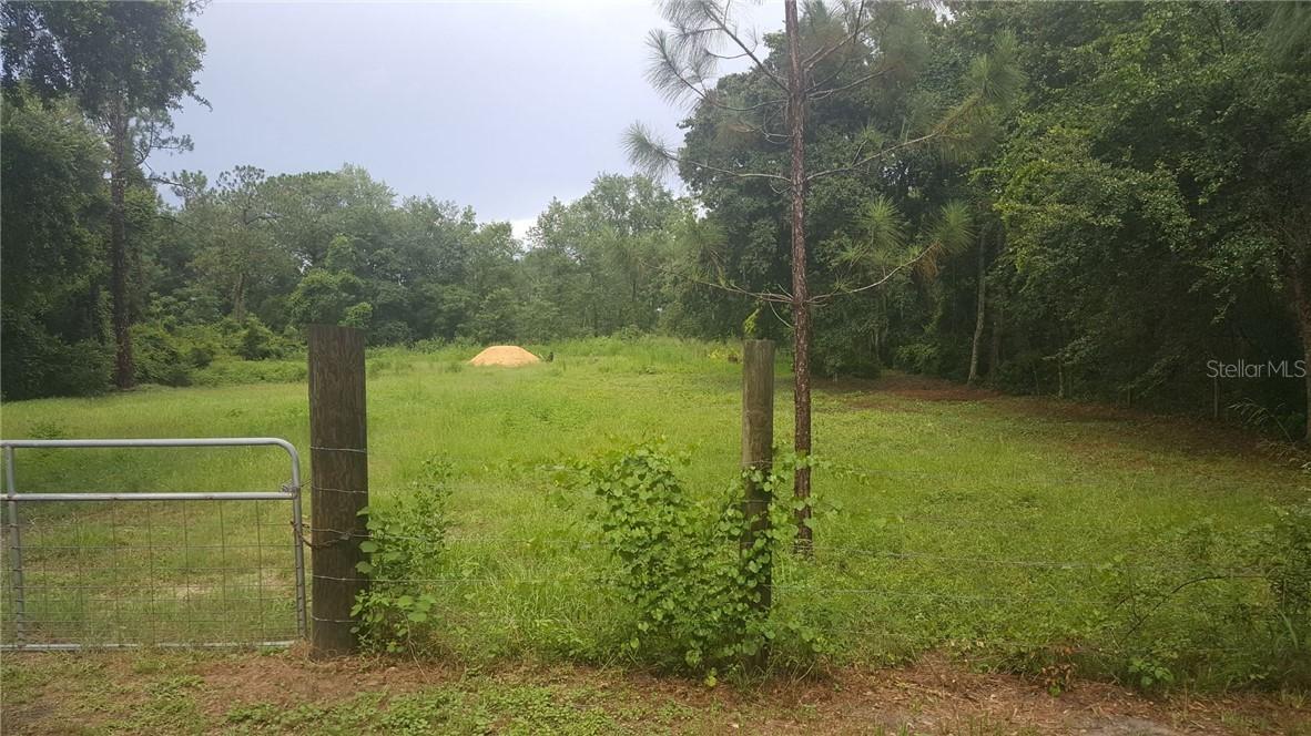 Beverly Dr., Groveland, FL 34736