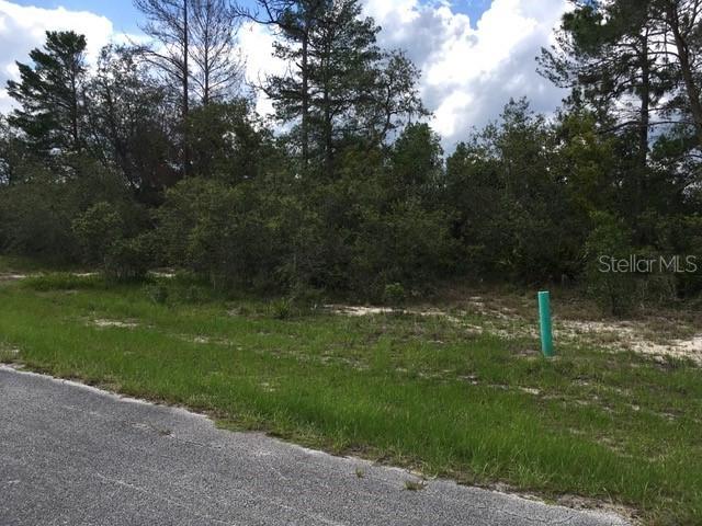 264 Gladiola Ct., Poinciana, FL 34759