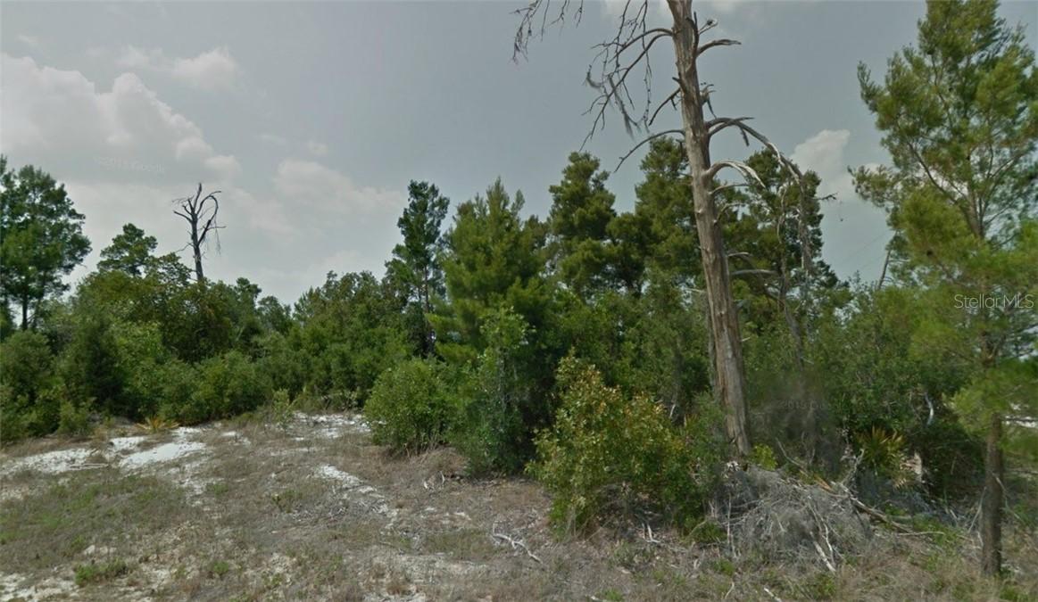 24 Redwood Ct., Poinciana, FL 34759