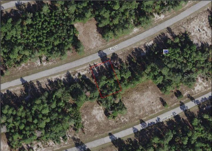 269 Fig Ct., Poinciana, FL 34759
