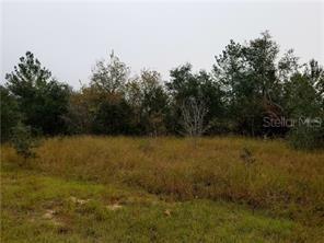 243 Hyacinth Ct., Poinciana, FL 34759