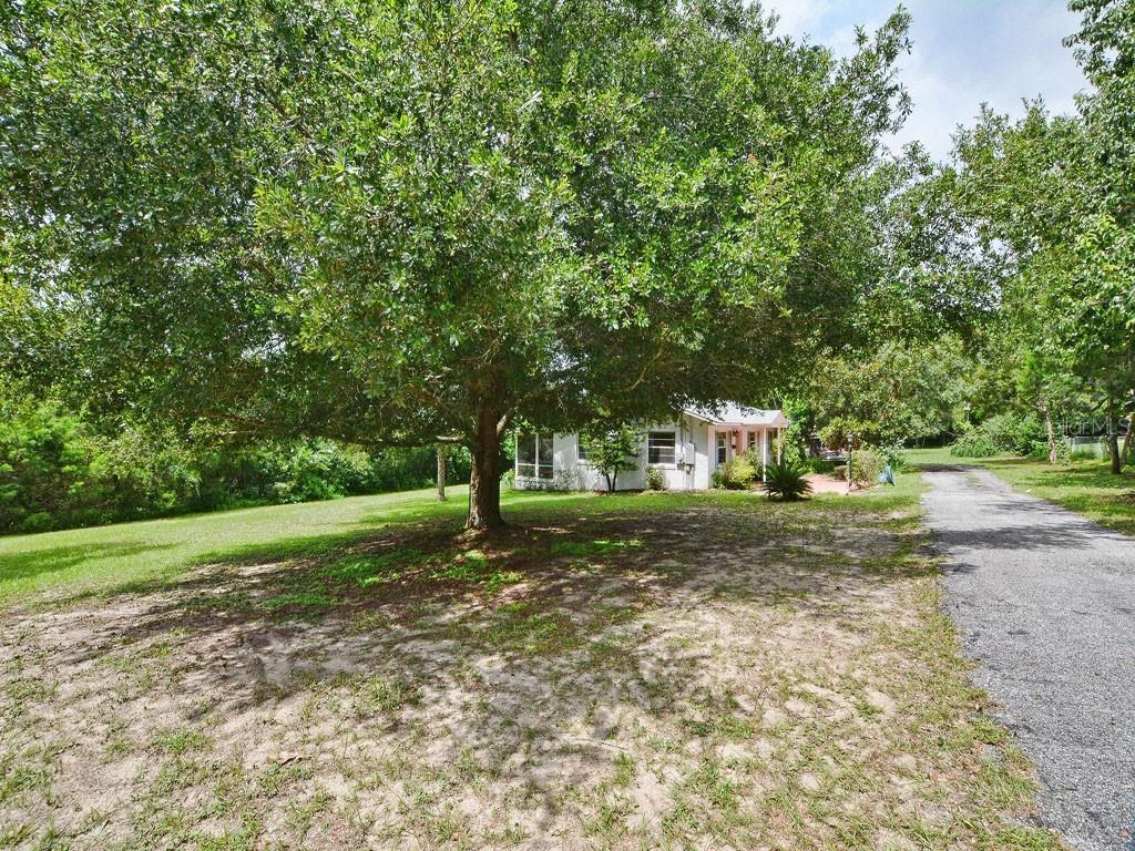 30811 Buttercup Ln., Mount Dora, FL 32757