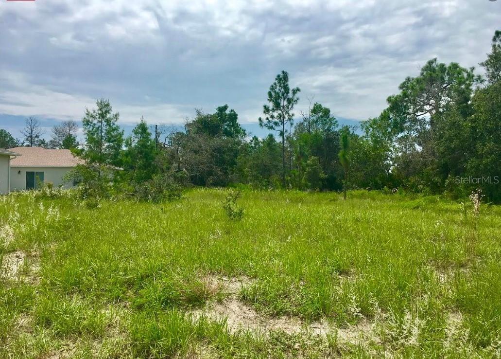 45 Willow Ln., Poinciana, FL 34759