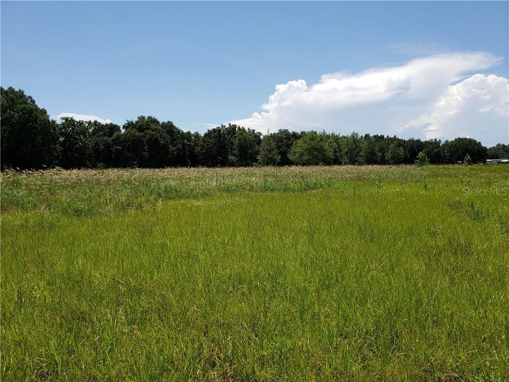 Lake Pickett Dr., Groveland, FL 34736