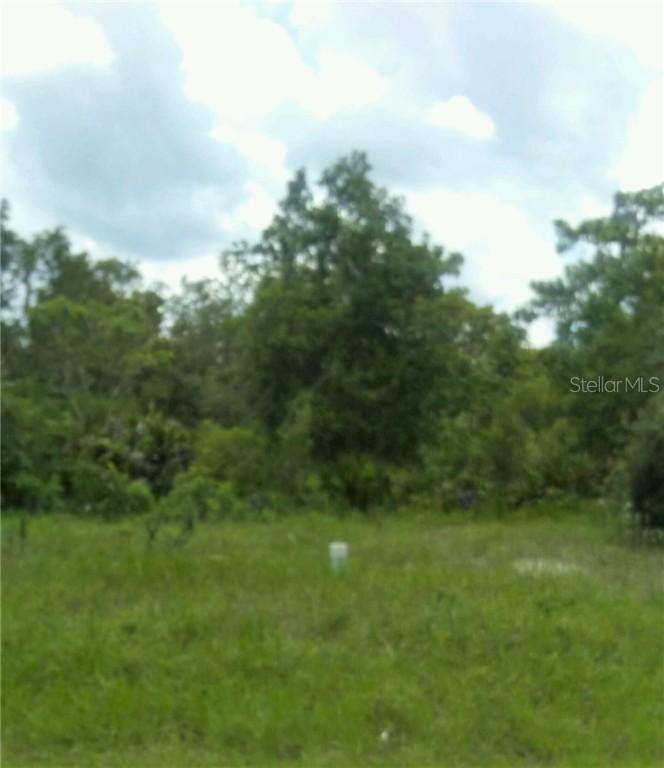 428 Athabasca Ct., Poinciana, FL 34759