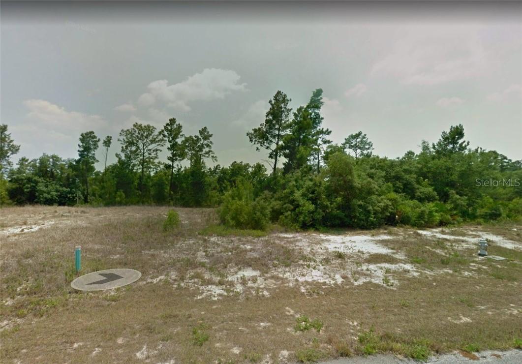 204 Hyacinth Ct., Poinciana, FL 34759