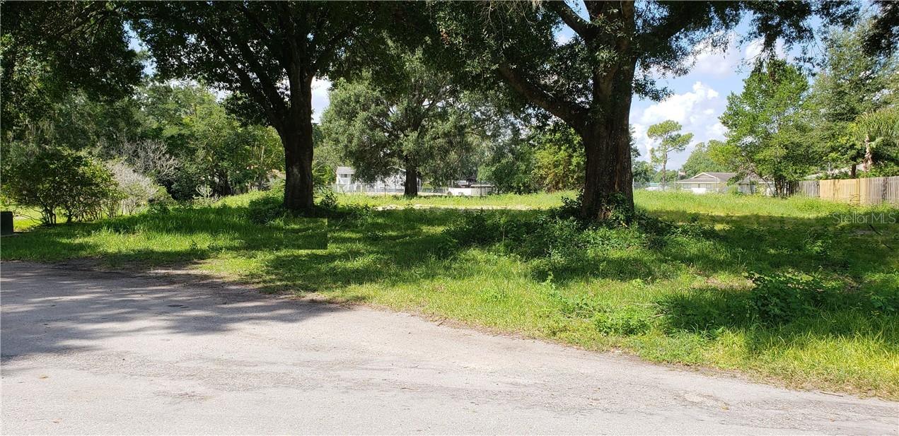 3203 Canal Pl., Land O Lakes, FL 34639