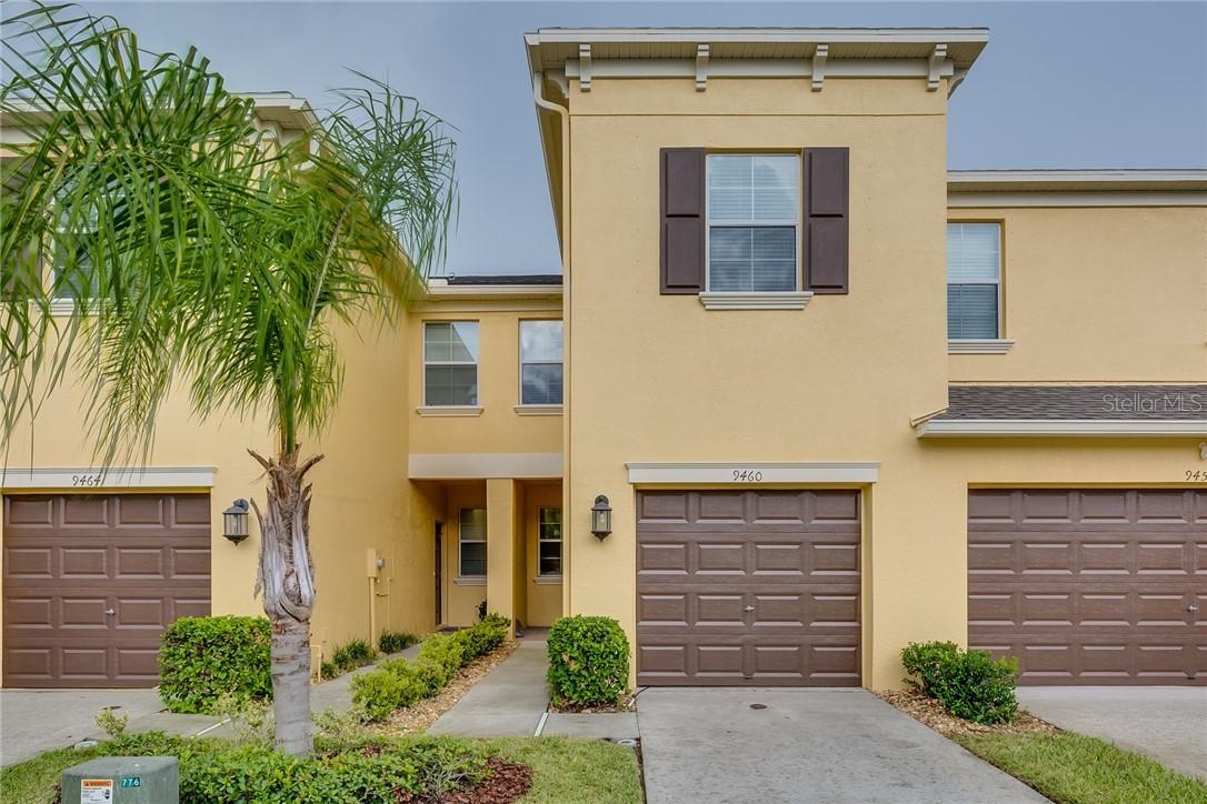 9460 Trumpet Vine Loop, Trinity, FL 34655