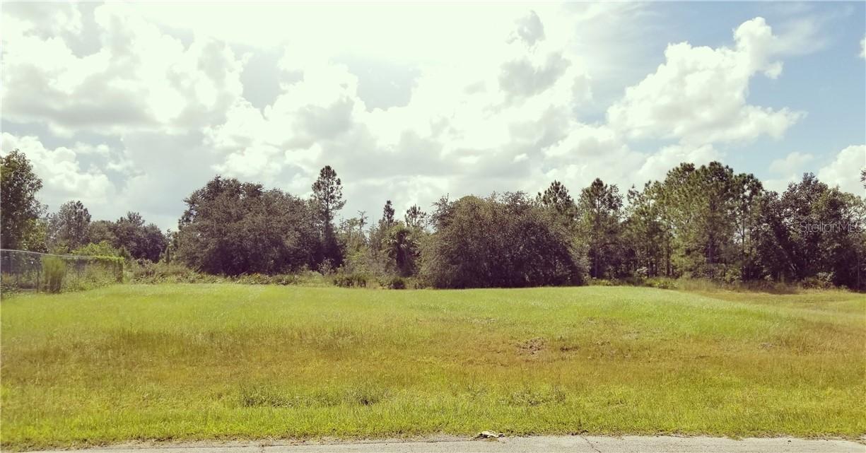 837 Massy Ct., Kissimmee, FL 34759