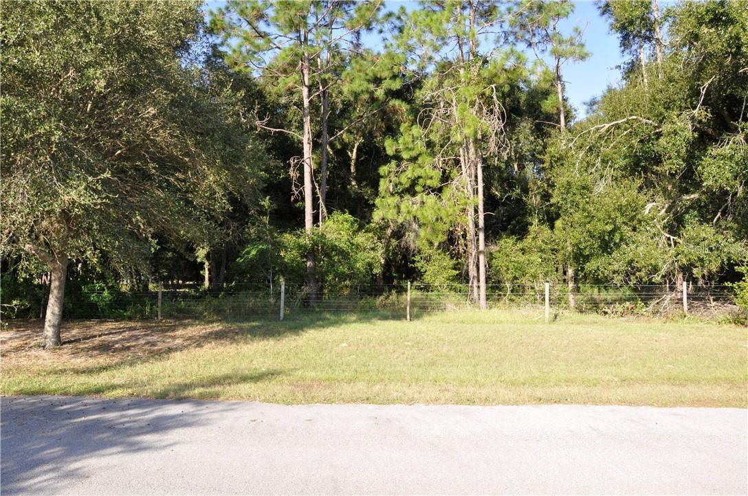 GRASS ROOTS Grass Roots Rd. #Lot 3, Groveland, FL 34736