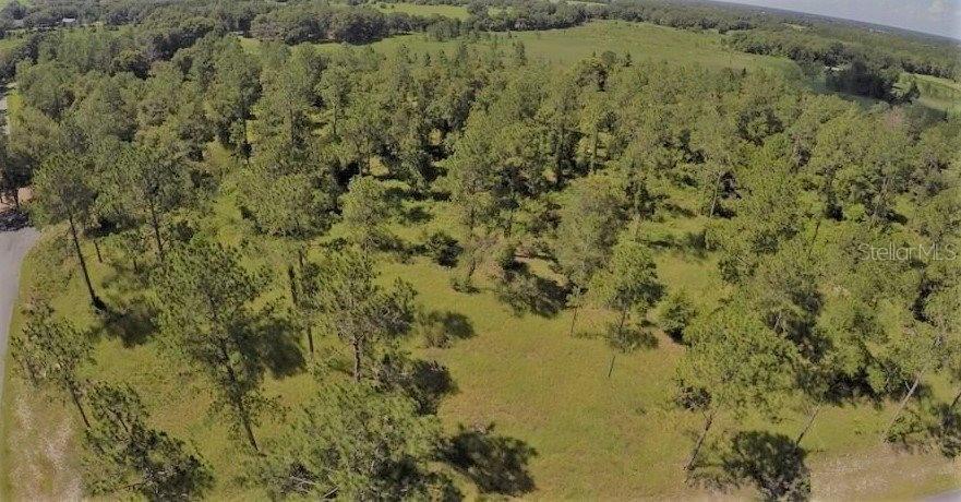 Bonsmara Dr., Groveland, FL 34736