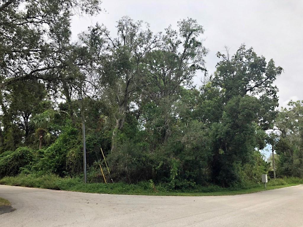 Alberta St., Longwood, FL 32750