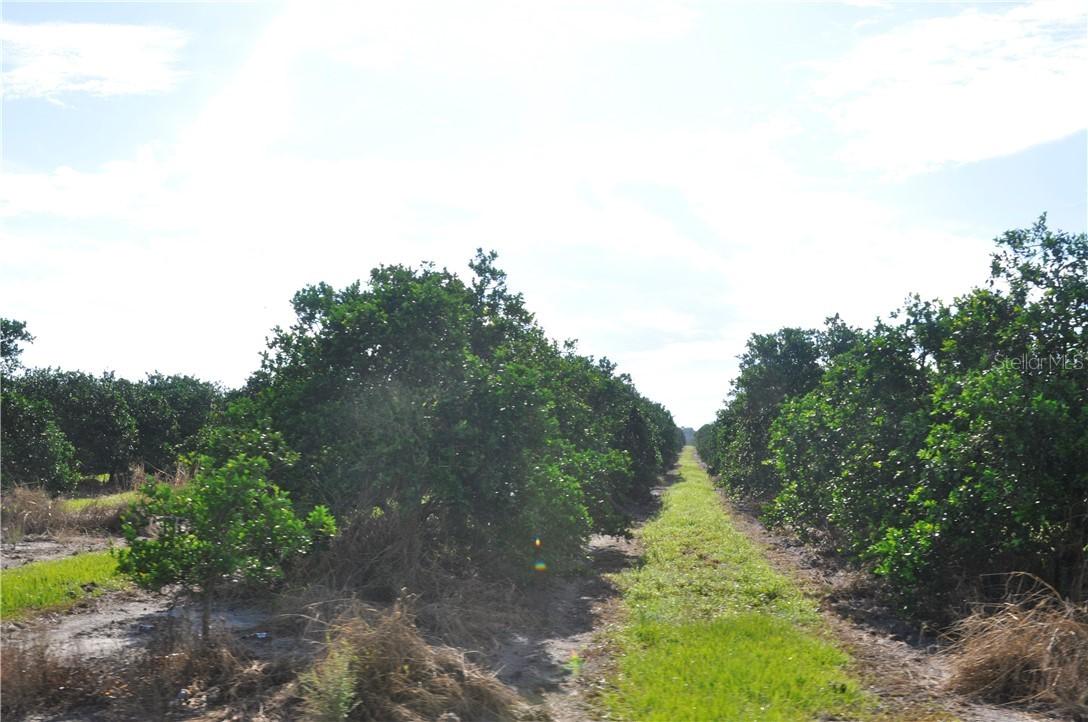 Cole Pumphouse Rd., Lake Wales, FL 33898