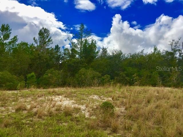 163 Violet Ct., Poinciana, FL 34759