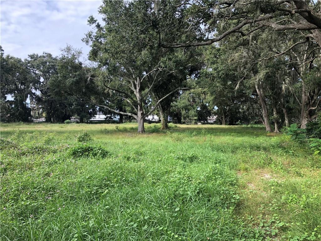 Tildenville School Rd., Winter Garden, FL 34787