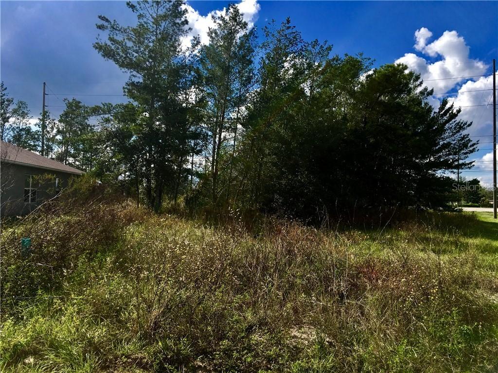 351 Camellia Ct., Poinciana, FL 34759