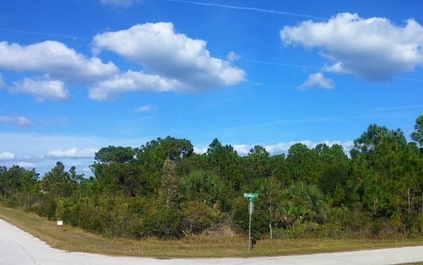 10406 Woodland Ave., Englewood, FL 34224