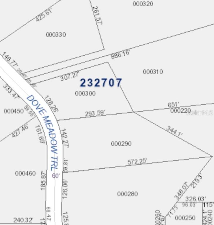 7621 Dove Meadow Tr., Lakeland, FL 33810