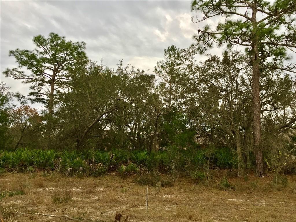 363 Fern Ct., Poinciana, FL 34759