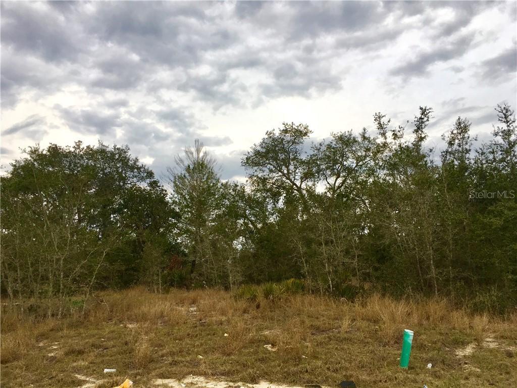 255 Begonia Pl., Poinciana, FL 34759