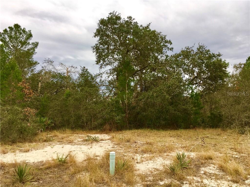 271 Fig Ct., Poinciana, FL 34759