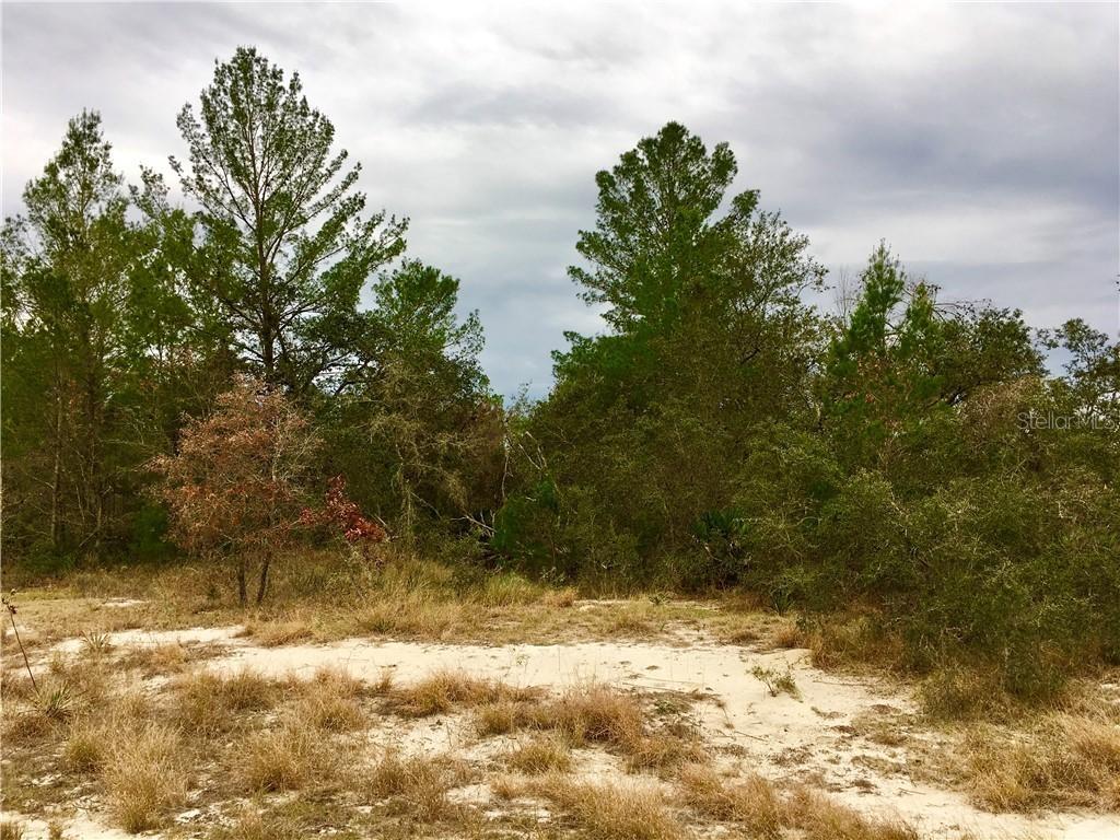 273 Fig Ct., Poinciana, FL 34759