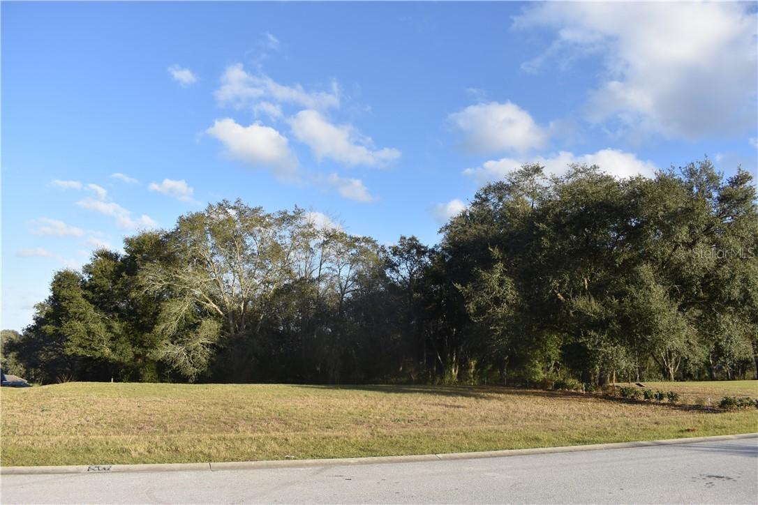 30126 Bretton Loop, Mount Dora, FL 32757