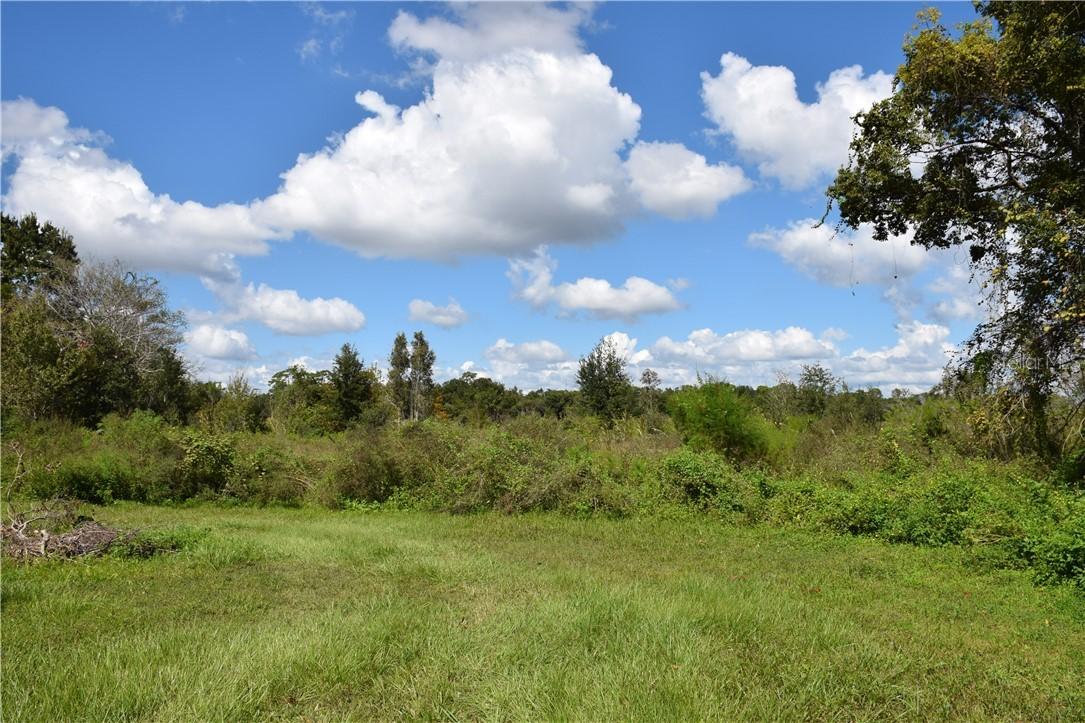 Riverside Park Rd., Orlando, FL 32810