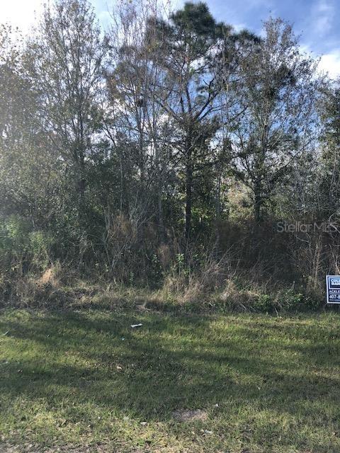 Lot 3 Clermont Dr., Kissimmee, FL 34759