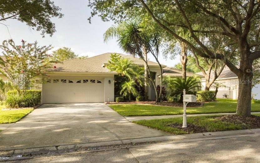 10238 Timberland Point Dr., Tampa, FL 33647