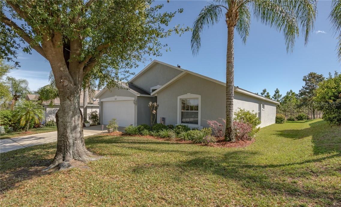 249 China Berry Cir., Davenport, FL 33837