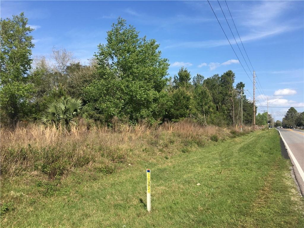 Britt Rd., Mount Dora, FL 32757