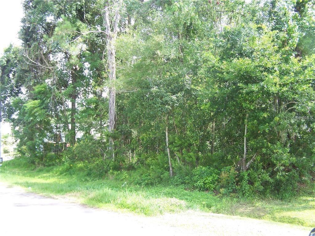 Del Prado Dr., Kissimmee, FL 34758