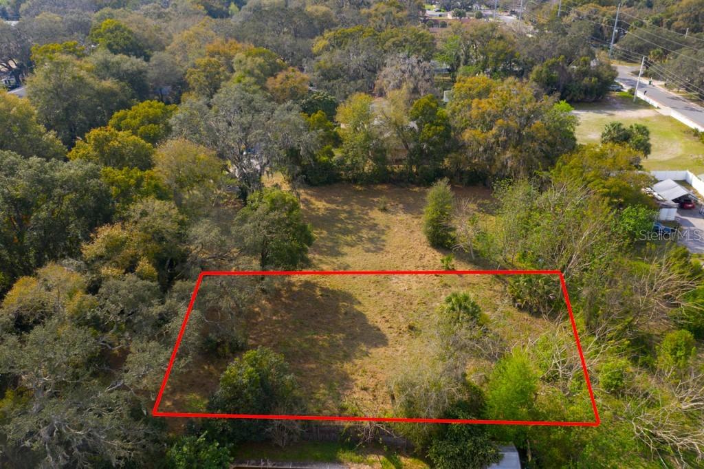 E 12th, Mount Dora, FL 32757