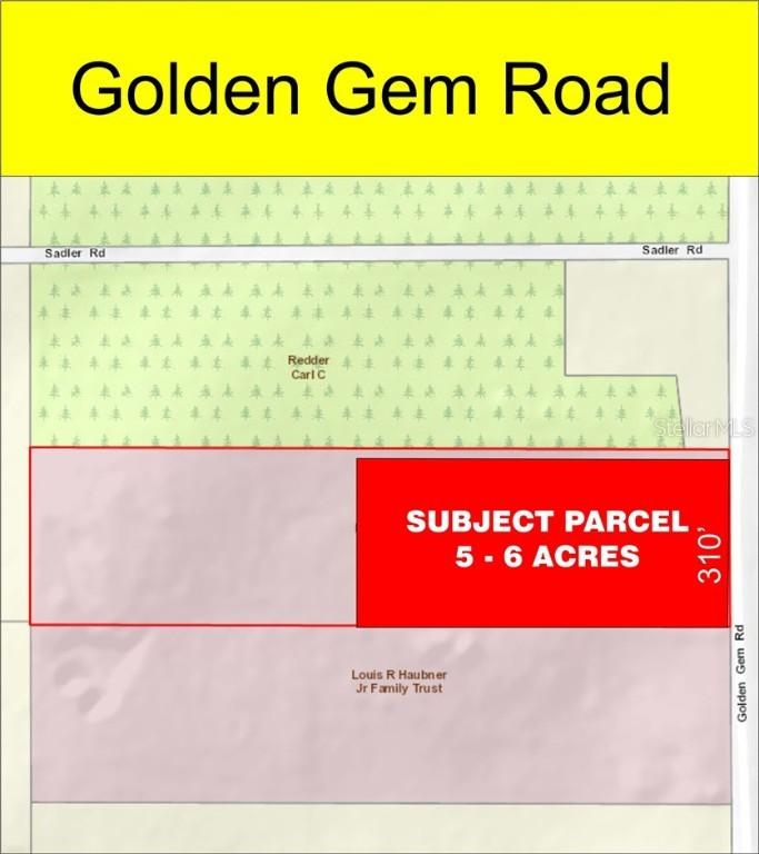 Golden Gem Rd., Apopka, FL 32712
