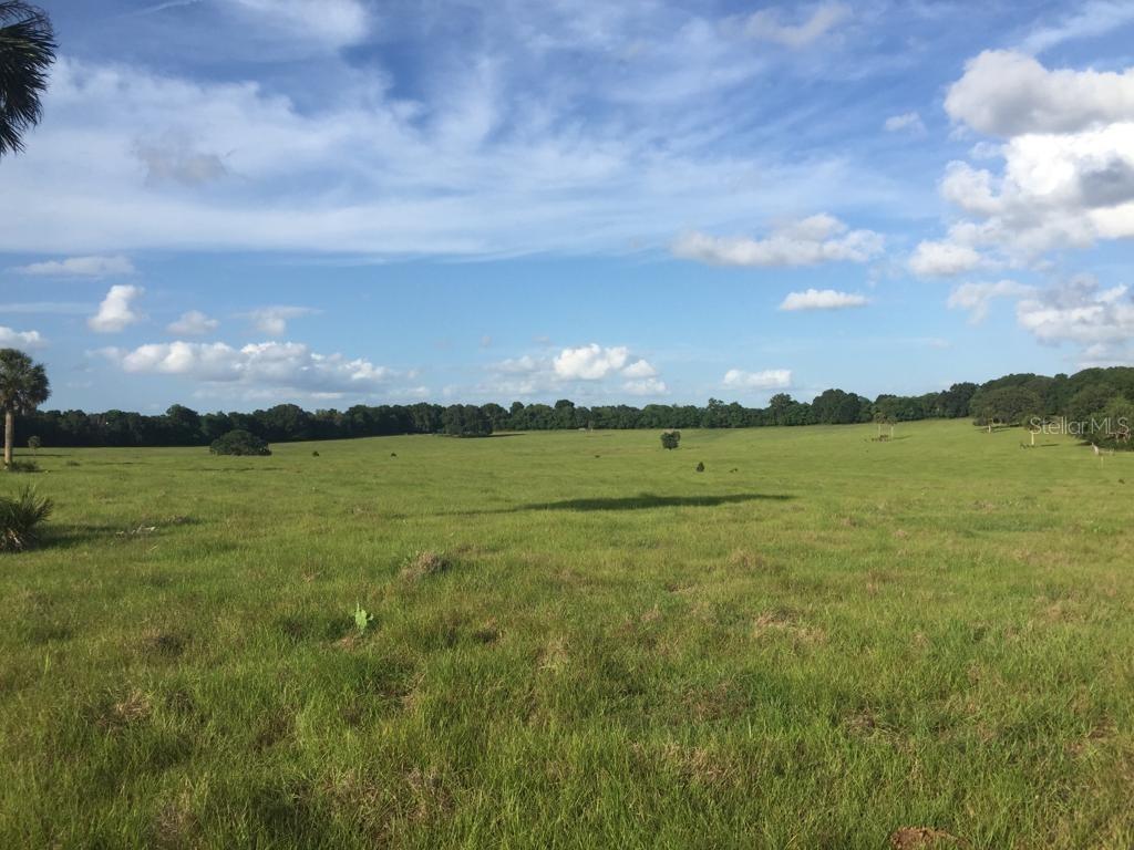 Snafflebit Ln., Sorrento, FL 32776