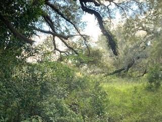 20426 Old Trilby Rd., Dade City, FL 33523