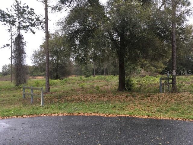 Bonsmara Dr., Groveland, FL 34736