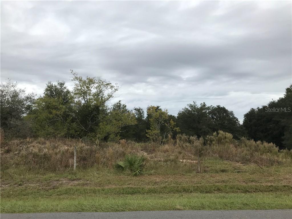 Adair Ave., Sorrento, FL 32776