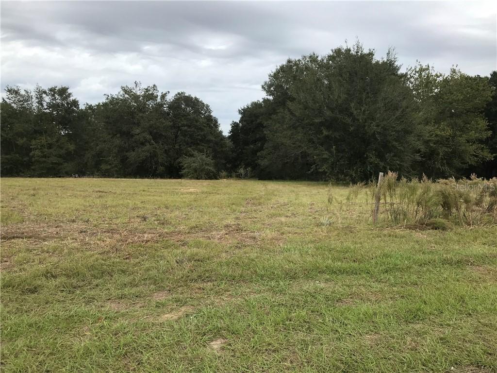 Adair Ave., Sorrento, FL 32776