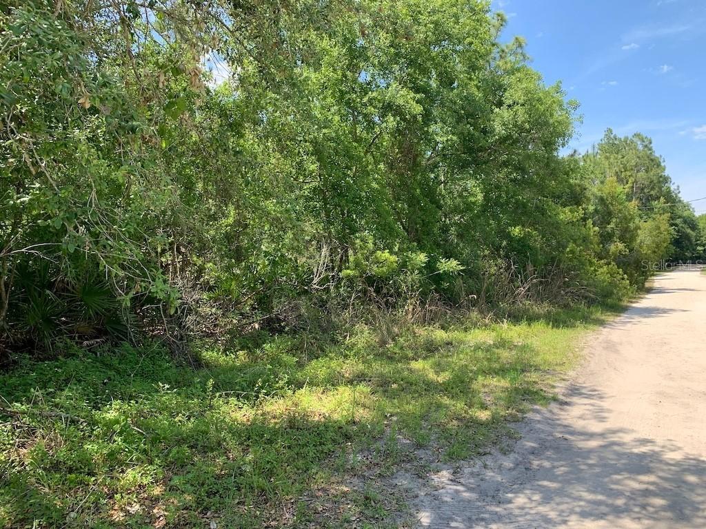 Old River Trail, Chuluota, FL 32766