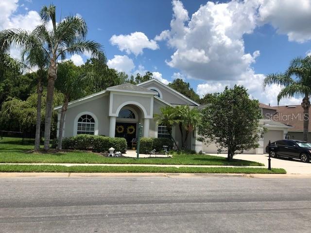 7729 Arelli Dr., Trinity, FL 34655