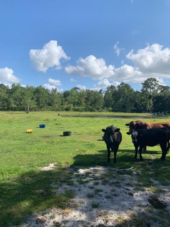 1855 Mullet Lake Park Rd., Geneva, FL 32732