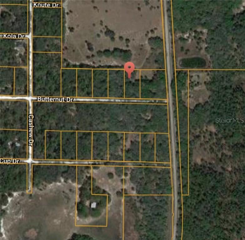 36065 Butternut Dr., Webster, FL 33597