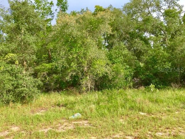 244 Begonia Pl., Poinciana, FL 34759